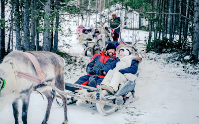 Guests enjoying a reindeer sled ride through snowy forest during Sámi Culture Experience.