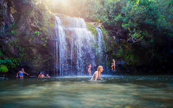 Guests swimming near Kohala Waterfalls, surrounded by lush greenery.