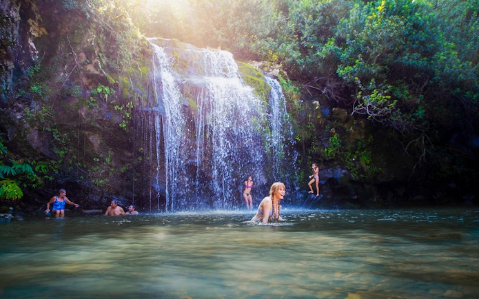 Guests swimming near Kohala Waterfalls, surrounded by lush greenery.