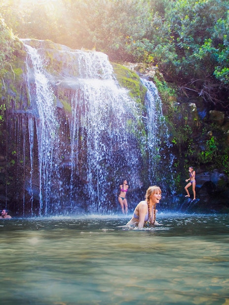 Guests swimming near Kohala Waterfalls, surrounded by lush greenery.