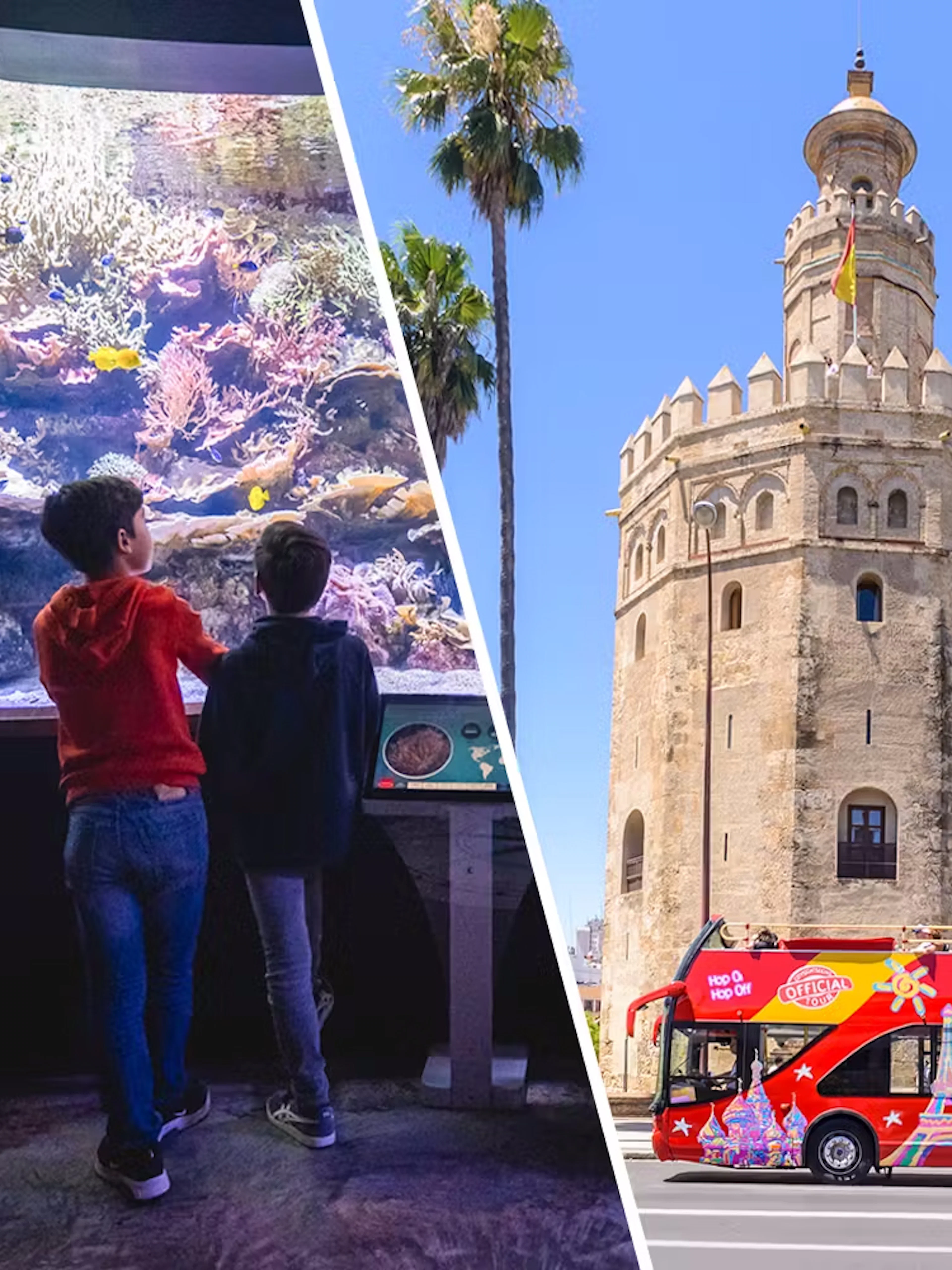 Seville Aquarium visitors and Torre del Oro with hop-on hop-off bus.