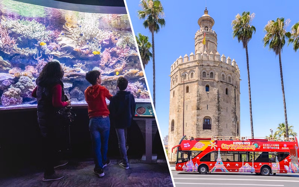 Seville Aquarium visitors and Torre del Oro with hop-on hop-off bus.