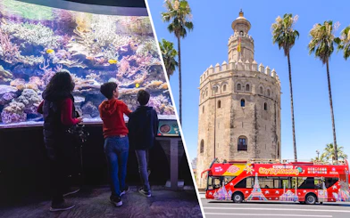 Seville Aquarium visitors and Torre del Oro with hop-on hop-off bus.