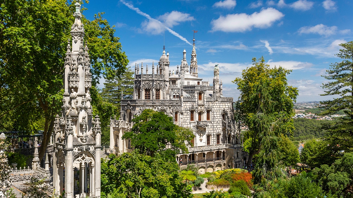 Beautiful view of quinta da regaleria and towers with green trees