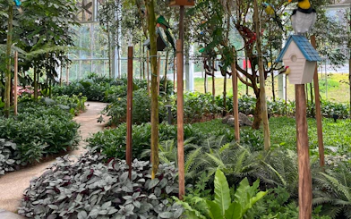 Pathway through lush greenery at Eufloria Gardens & Sculpture Park.