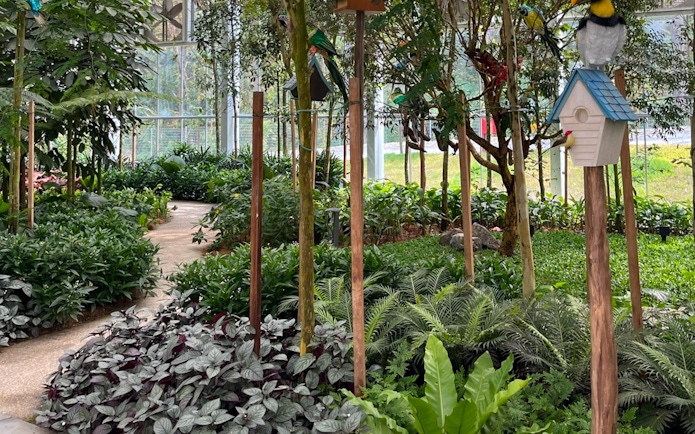 Pathway through lush greenery at Eufloria Gardens & Sculpture Park.