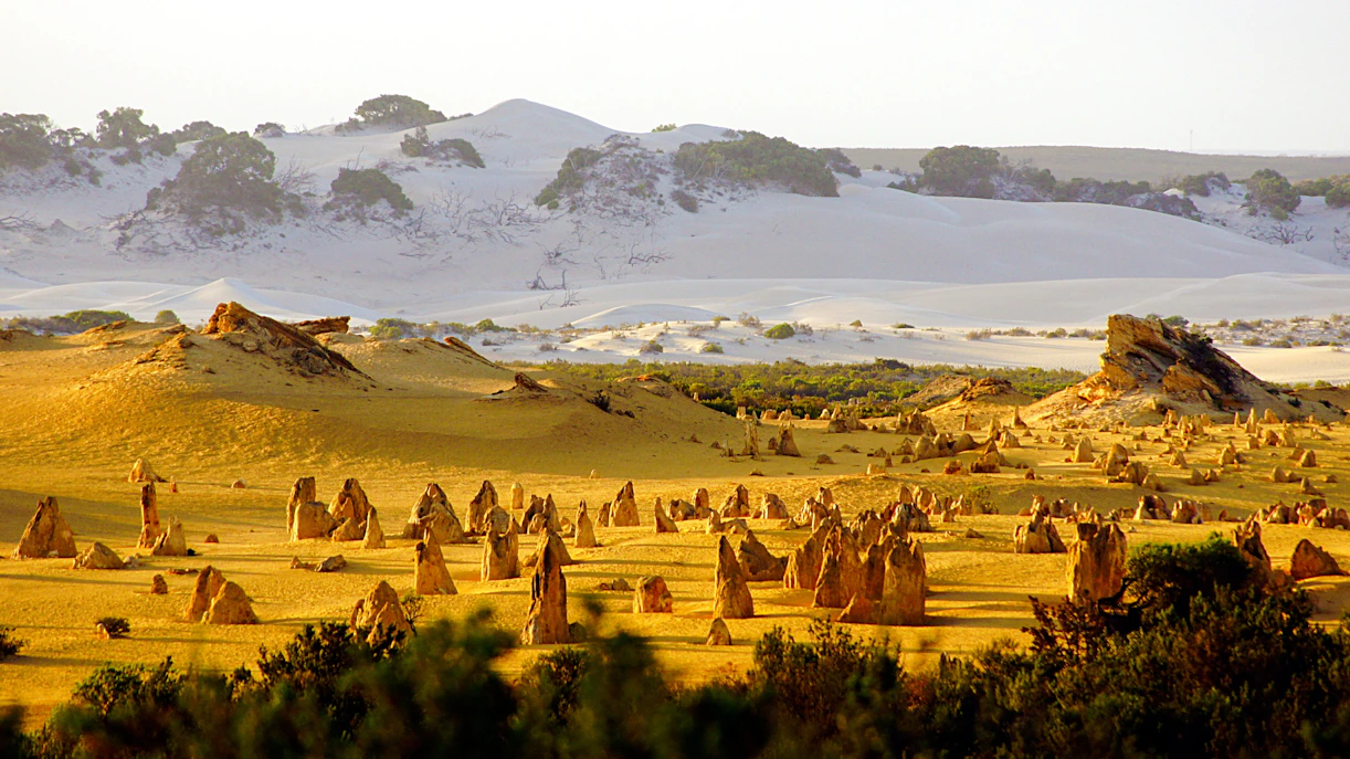 Pinnacle Desert rock formations at sunset, Nambung National Park, Cervantes, Australia.