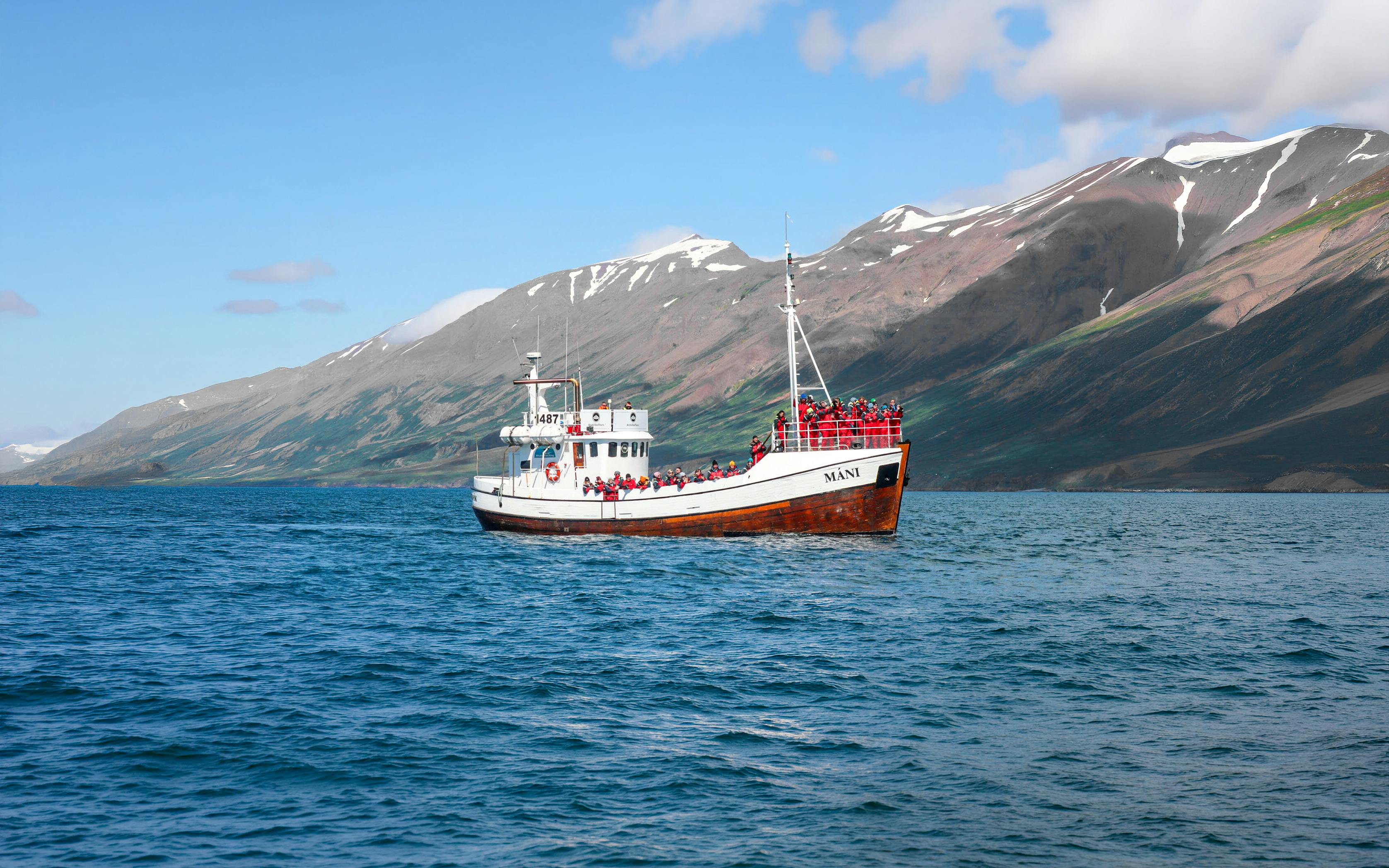 Whale watching boat in Dalvik, Northern Iceland, with passengers viewing Arctic waters.