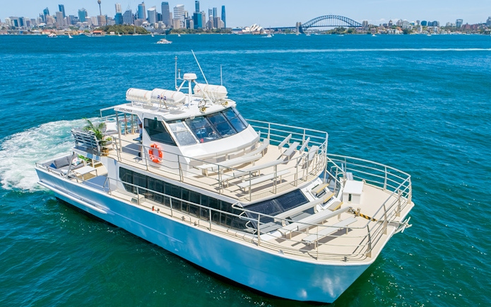 Cruise ship on Sydney Harbour with city skyline and Harbour Bridge in the background.