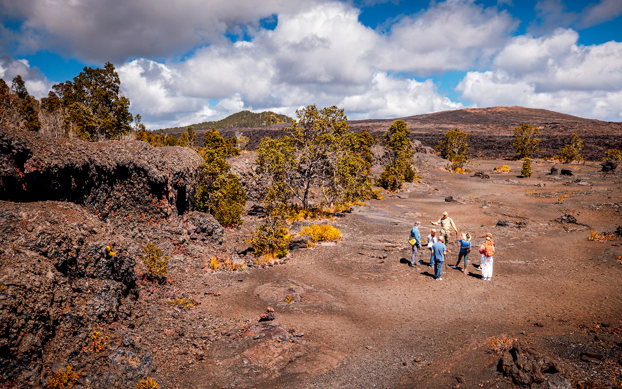 Big Island: Volcano, Chocolate & Waterfall Tour — 5