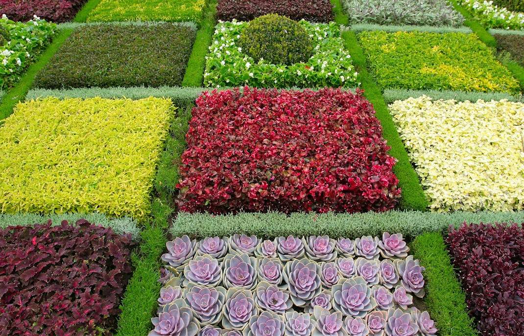 Château de Chenonceau - Jardim
