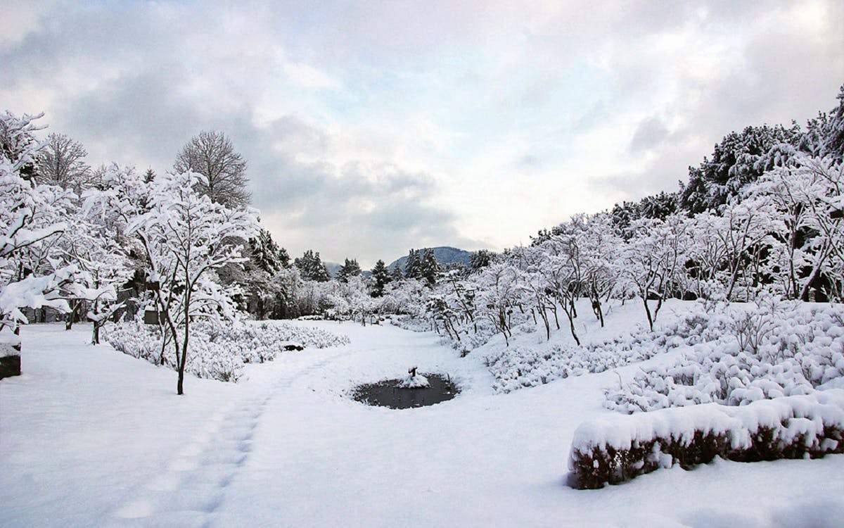 day trip to vivaldi park ski world & nami island from seoul-9 day trip to vivaldi park ski world & nami island from seoul-9