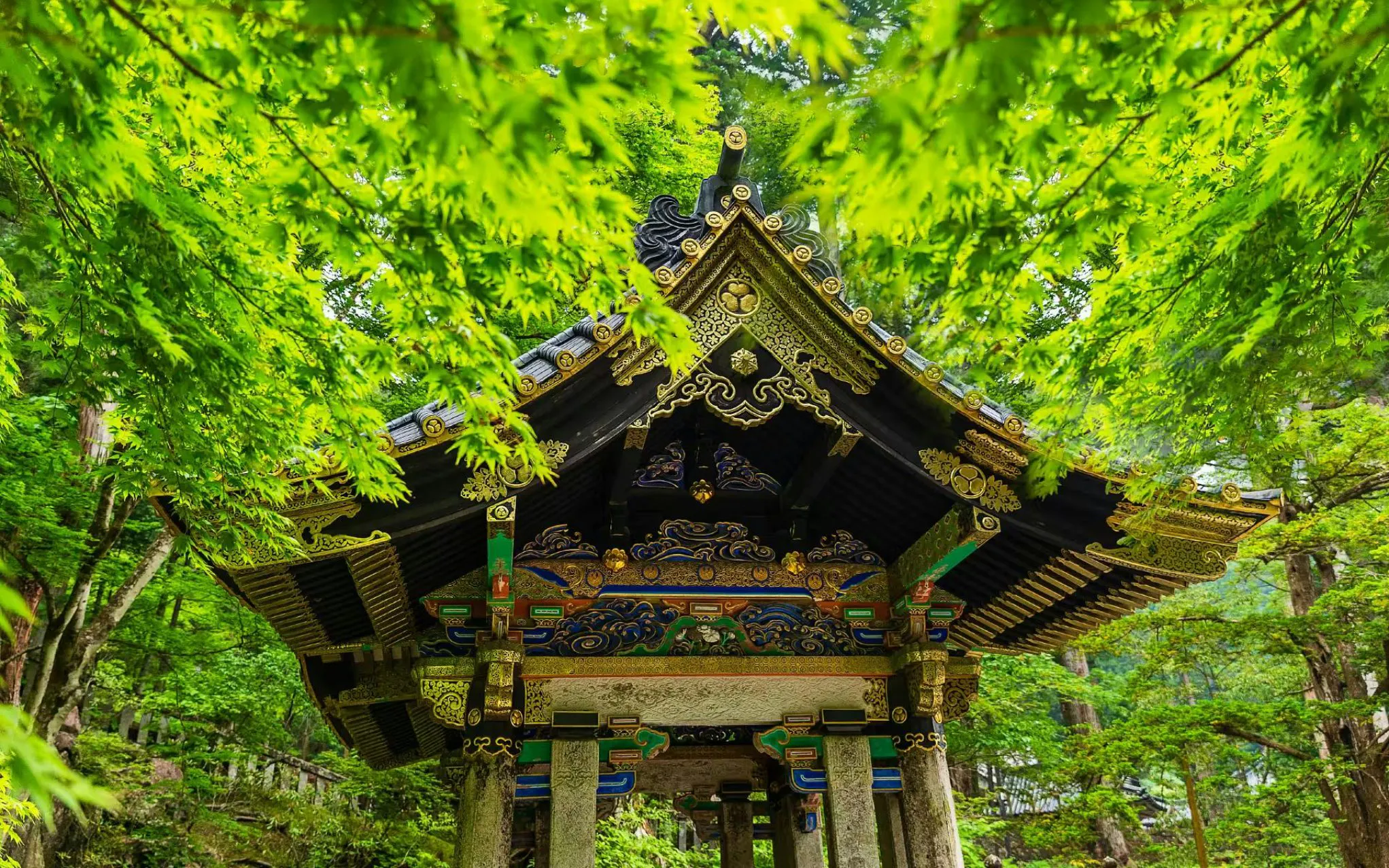 Ornate Omizuya pavilion surrounded by lush greenery at Nikkō Tōshō-gū shrine, Tochigi, Japan.