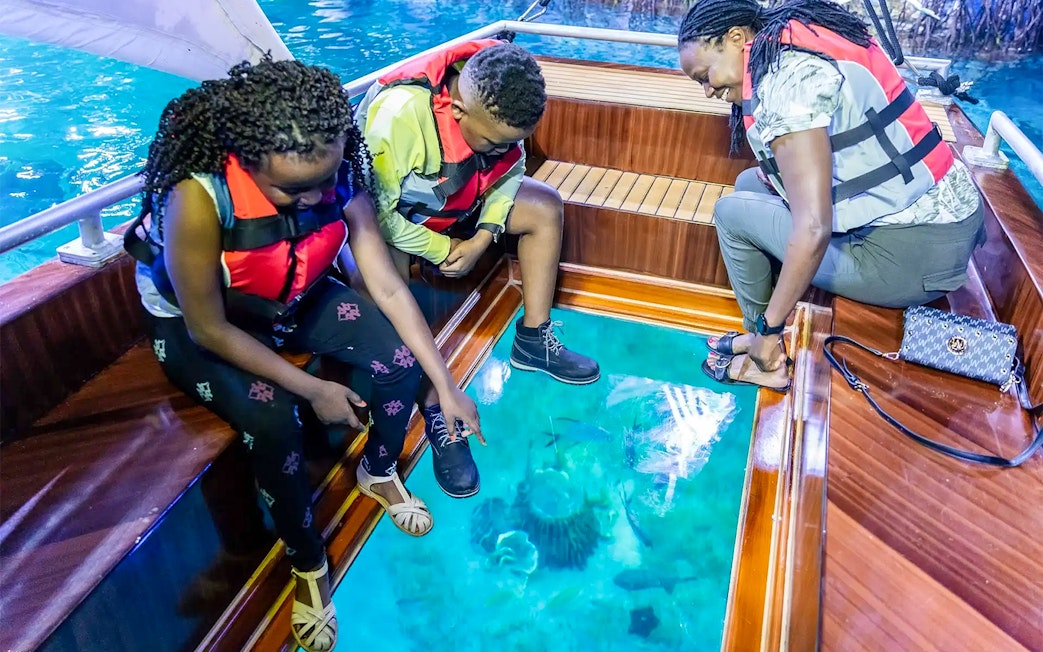 Visitors on a glass-bottom boat at National Aquarium Abu Dhabi, viewing marine life.