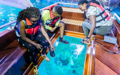 Visitors on a glass-bottom boat at National Aquarium Abu Dhabi, viewing marine life.