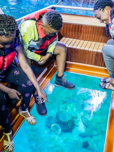 Visitors on a glass-bottom boat at National Aquarium Abu Dhabi, viewing marine life.