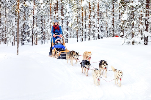 Z Rovaniemi: Wycieczka zaprzęgiem husky