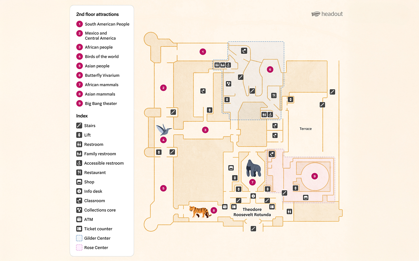 2nd Floor map of American Museum of Natural History, New York, showing attractions and facilities.