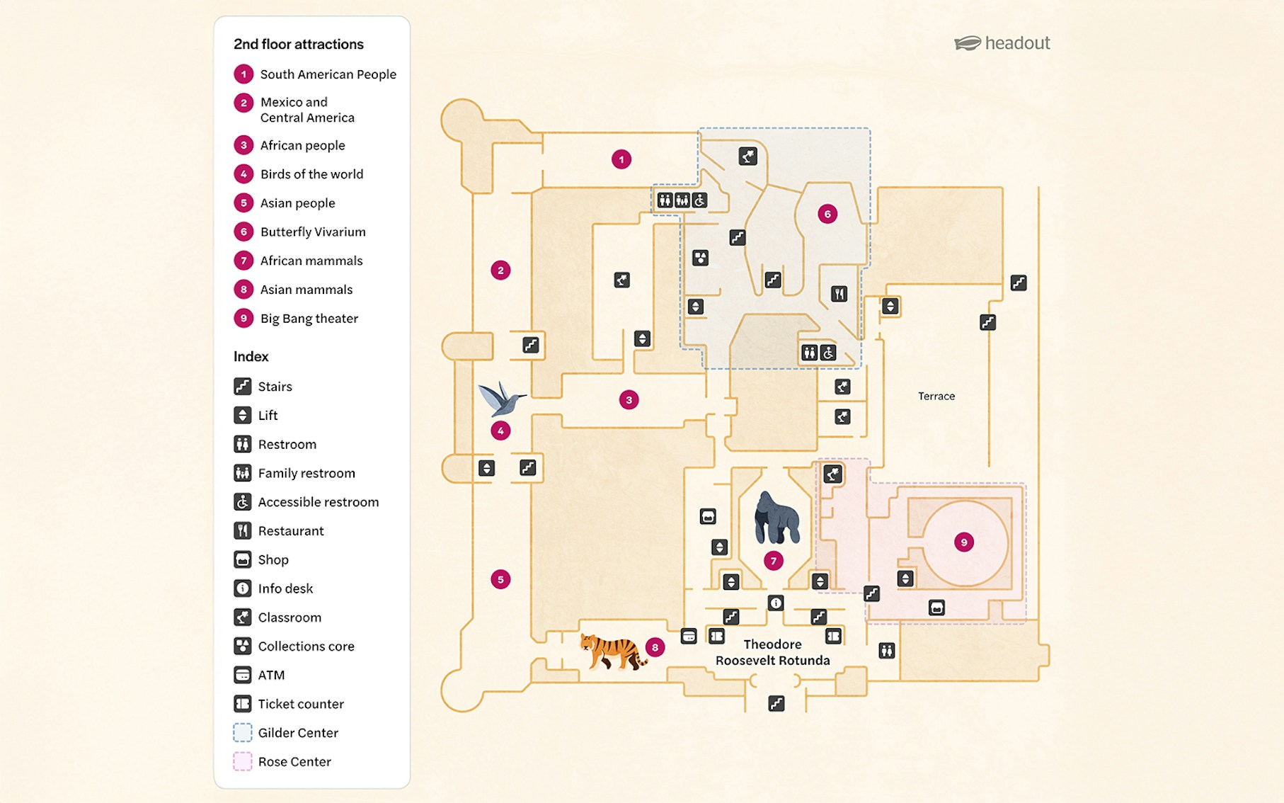 2nd Floor map of American Museum of Natural History, New York, showing attractions and facilities.