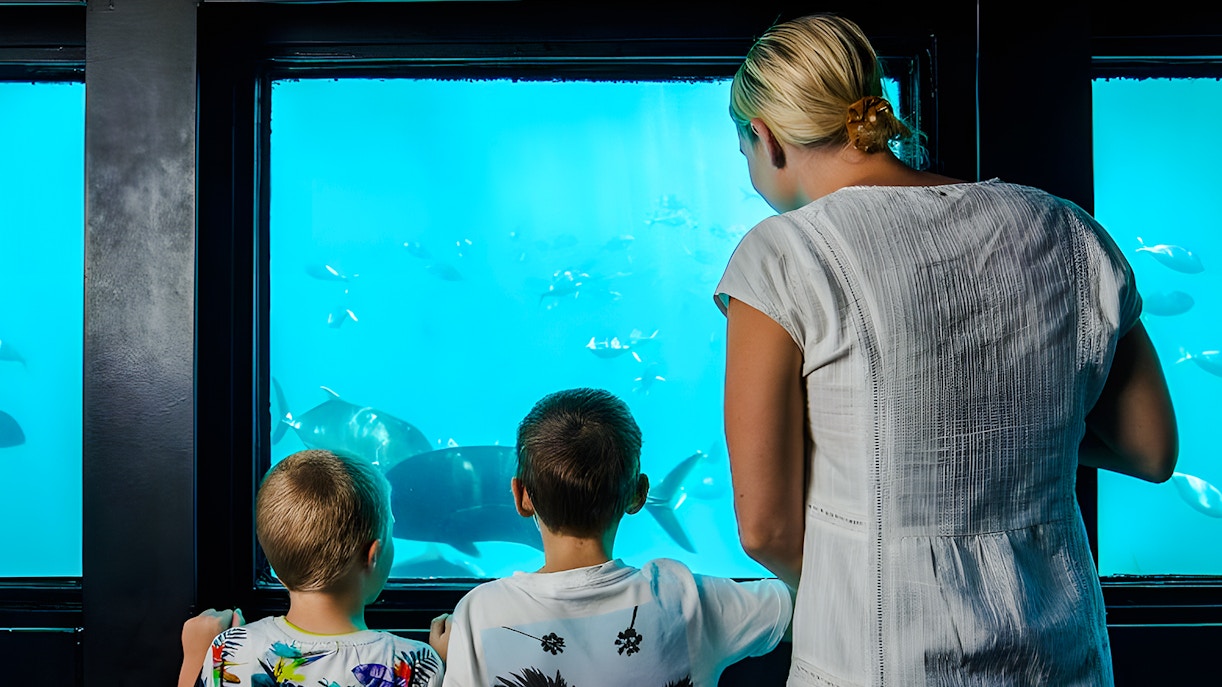 People observing fish through windows at an underwater observatory, Great Barrier Reef.