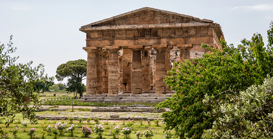 Ancient Greek temple surrounded by greenery at Archeological Park of Paestum, Italy.