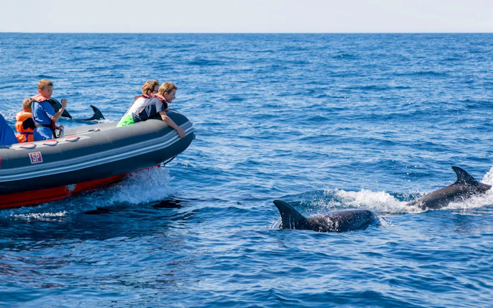 Tourists on RIB boat watching dolphins near Benagil Caves.
