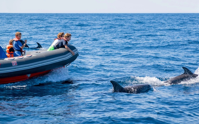Tourists on RIB boat watching dolphins near Benagil Caves.