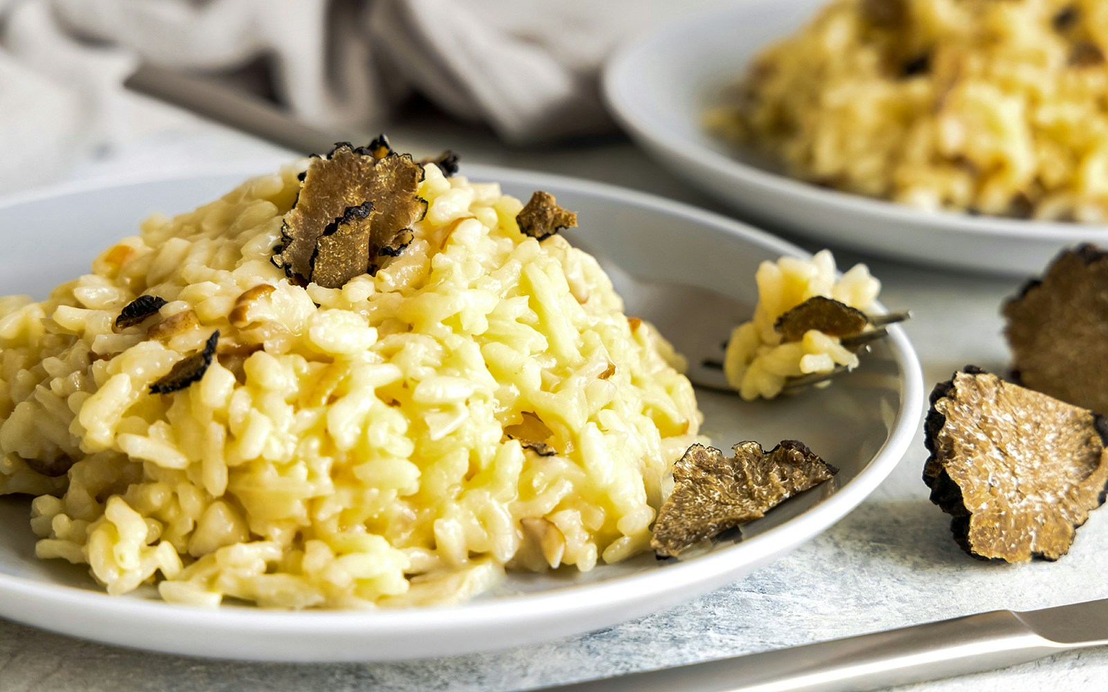 Truffle risotto served on a white plate at a gourmet restaurant in Italy.