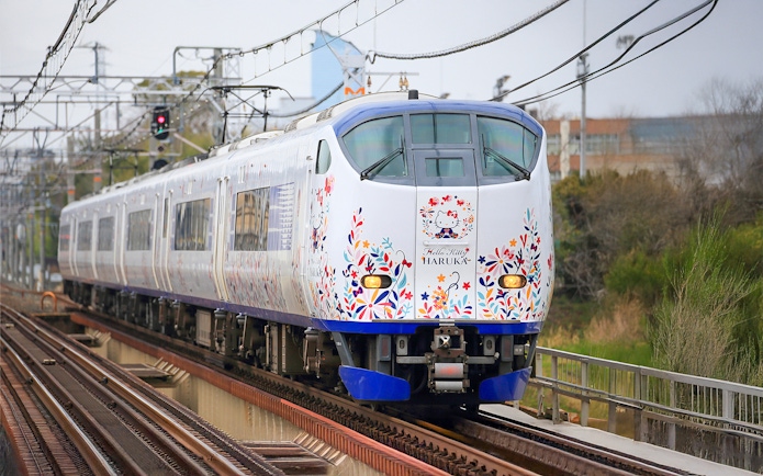JR Haruka Airport Express train with floral design traveling through countryside.