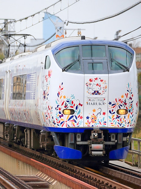 JR Haruka Airport Express train with floral design traveling through countryside.