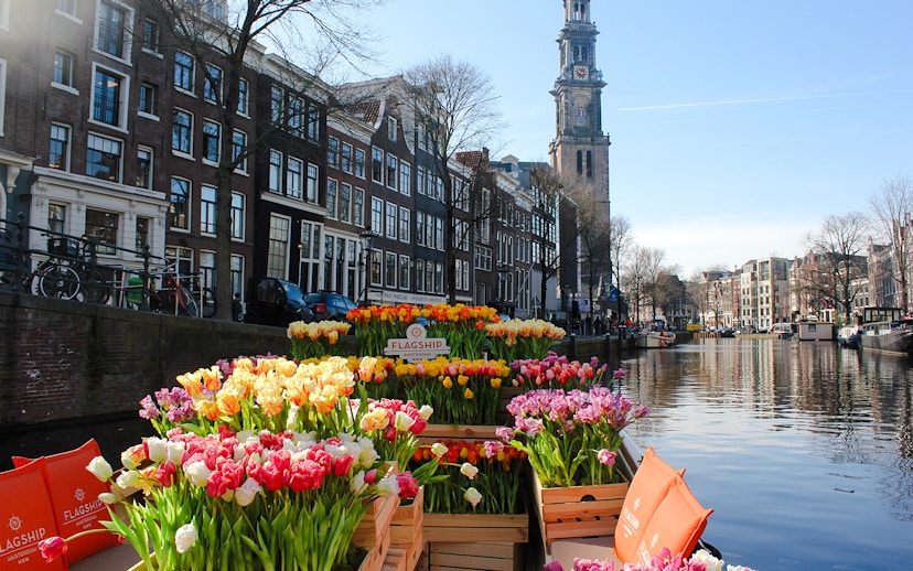 Tulip-filled boat on Amsterdam canal with Westerkerk in background.