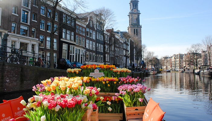 Tulip-filled boat on Amsterdam canal with Westerkerk in background.