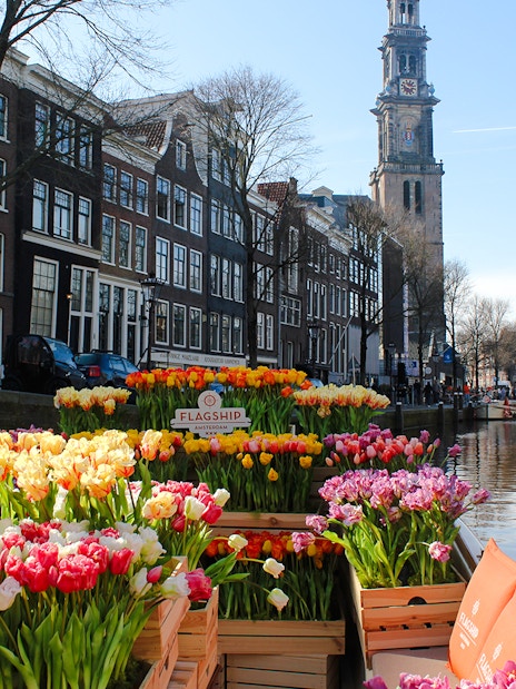 Tulip-filled boat on Amsterdam canal with Westerkerk in background.
