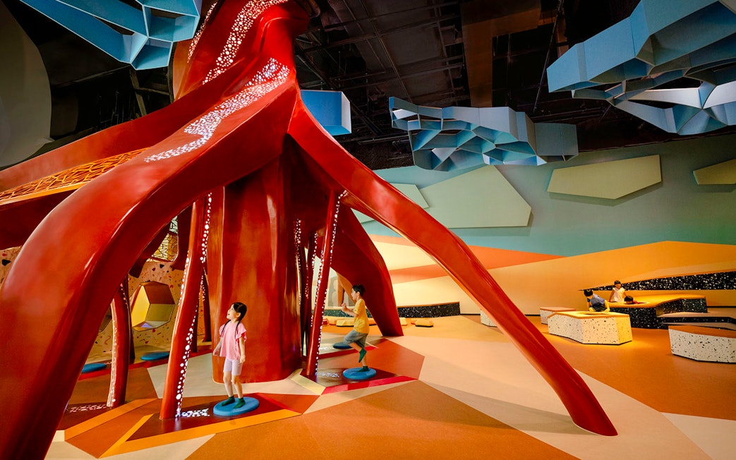 Children exploring the interactive Ancient Root exhibit at Curiosity Cove Dryland.