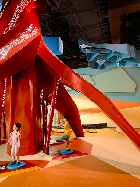 Children exploring the interactive Ancient Root exhibit at Curiosity Cove Dryland.