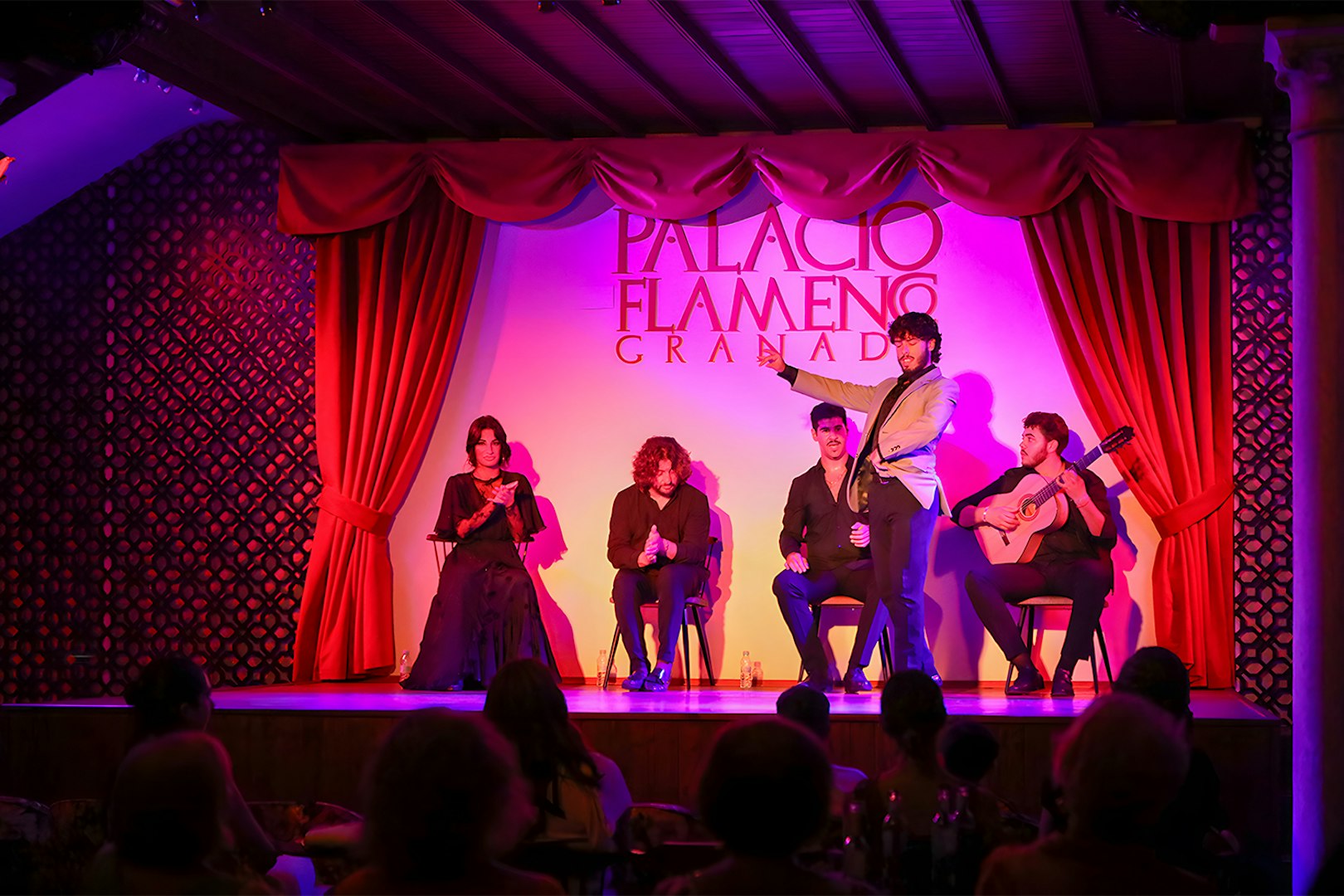 Flamenco performers on stage at Palacio Flamenco Granada show.