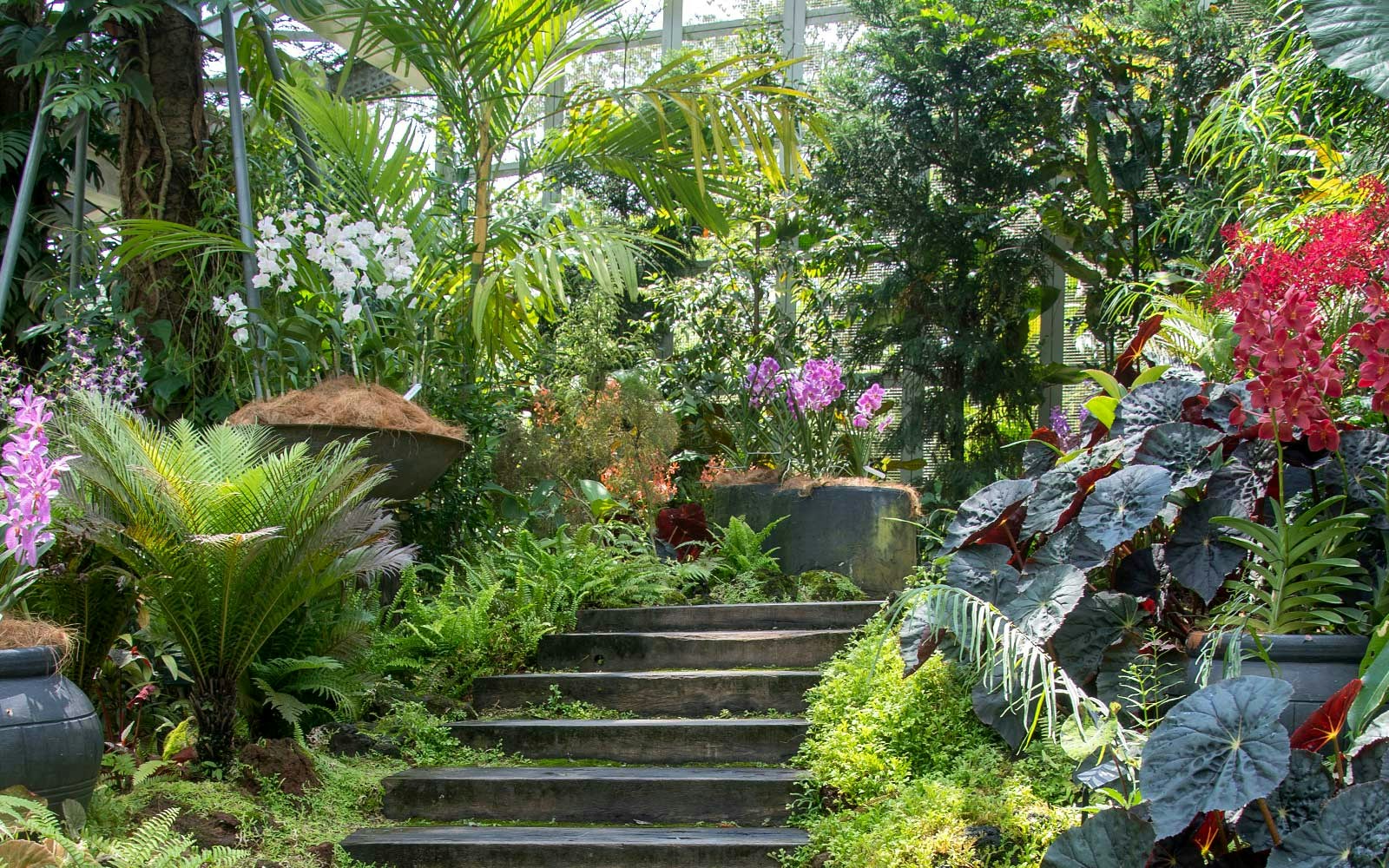 Tan Hoon Siang Mist House