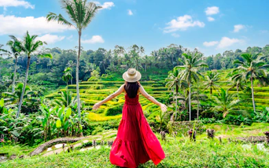 Privat guidet tur i Ubud: Ape-skogen, Tegenungan-fossen, Tegalalang-risterrassene, Goa Gajah