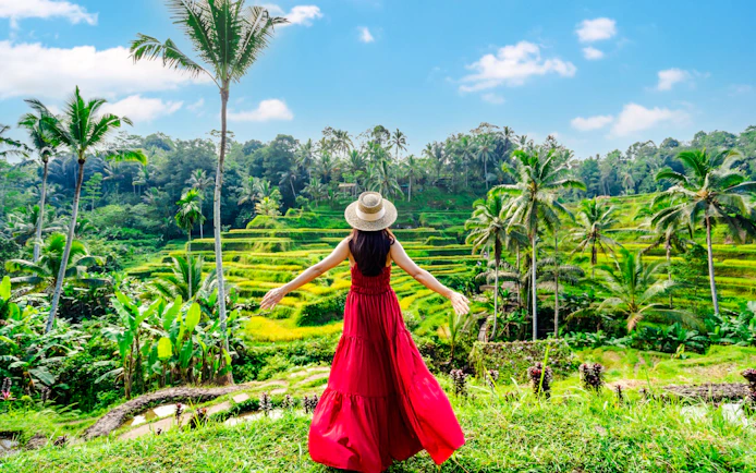 Ubud’s Ultimate: Culture, Crafts & Cascades Tour