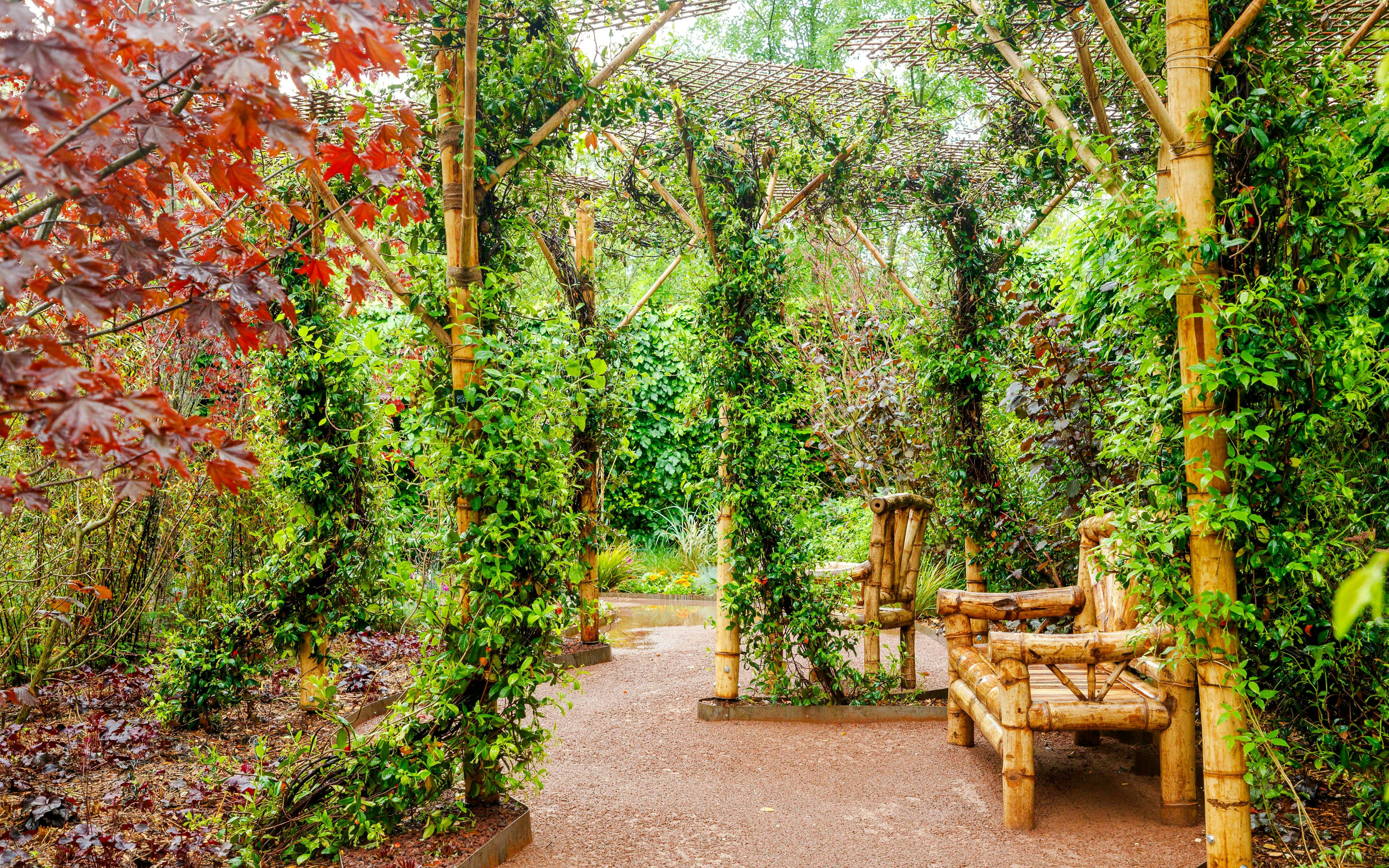 Bamboo seating area in lush gardens at Domaine du Chaumont-sur-Loire, Loire Valley.