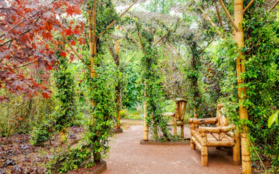 Bamboo seating area in lush gardens at Domaine du Chaumont-sur-Loire, Loire Valley.