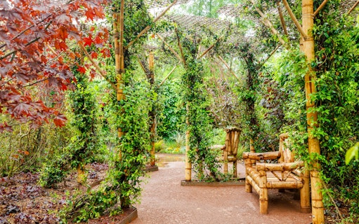 Bamboo seating area in lush gardens at Domaine du Chaumont-sur-Loire, Loire Valley.