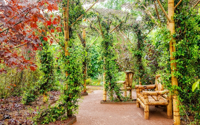 Bamboo seating area in lush gardens at Domaine du Chaumont-sur-Loire, Loire Valley.