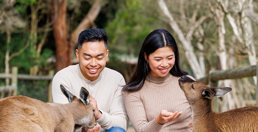 Maanverlicht heiligdom Tickets