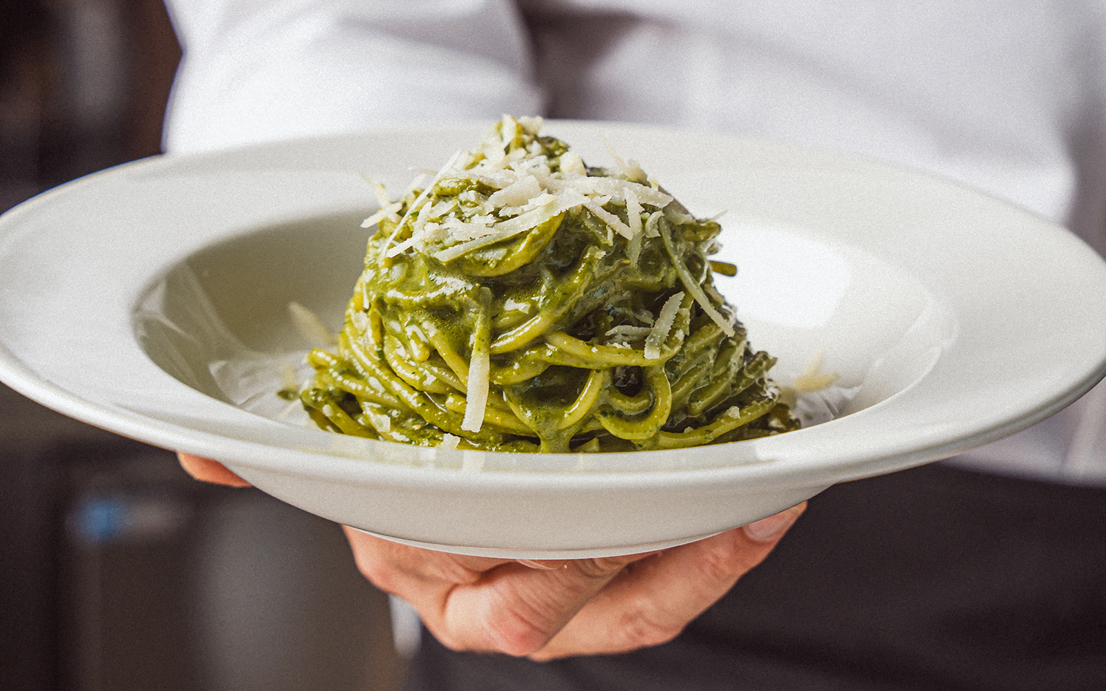 Niagara Falls Travel Guide