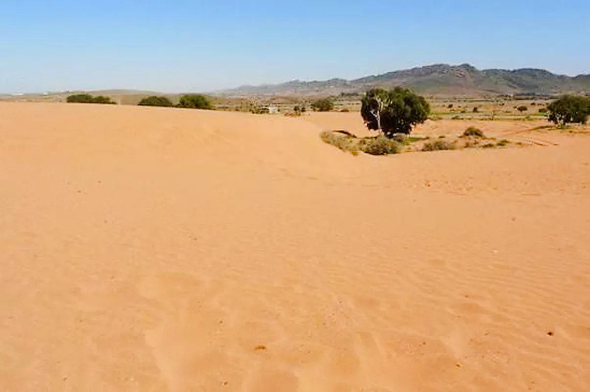 From Agadir: Massa Little Desert and Tiznit Jeep Safari with Lunch
