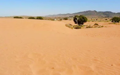 Desert landscape with sparse vegetation on the Massa & Tiznit Jeep Safari, Agadir.