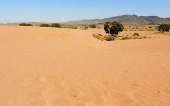 Desert landscape with sparse vegetation on the Massa & Tiznit Jeep Safari, Agadir.