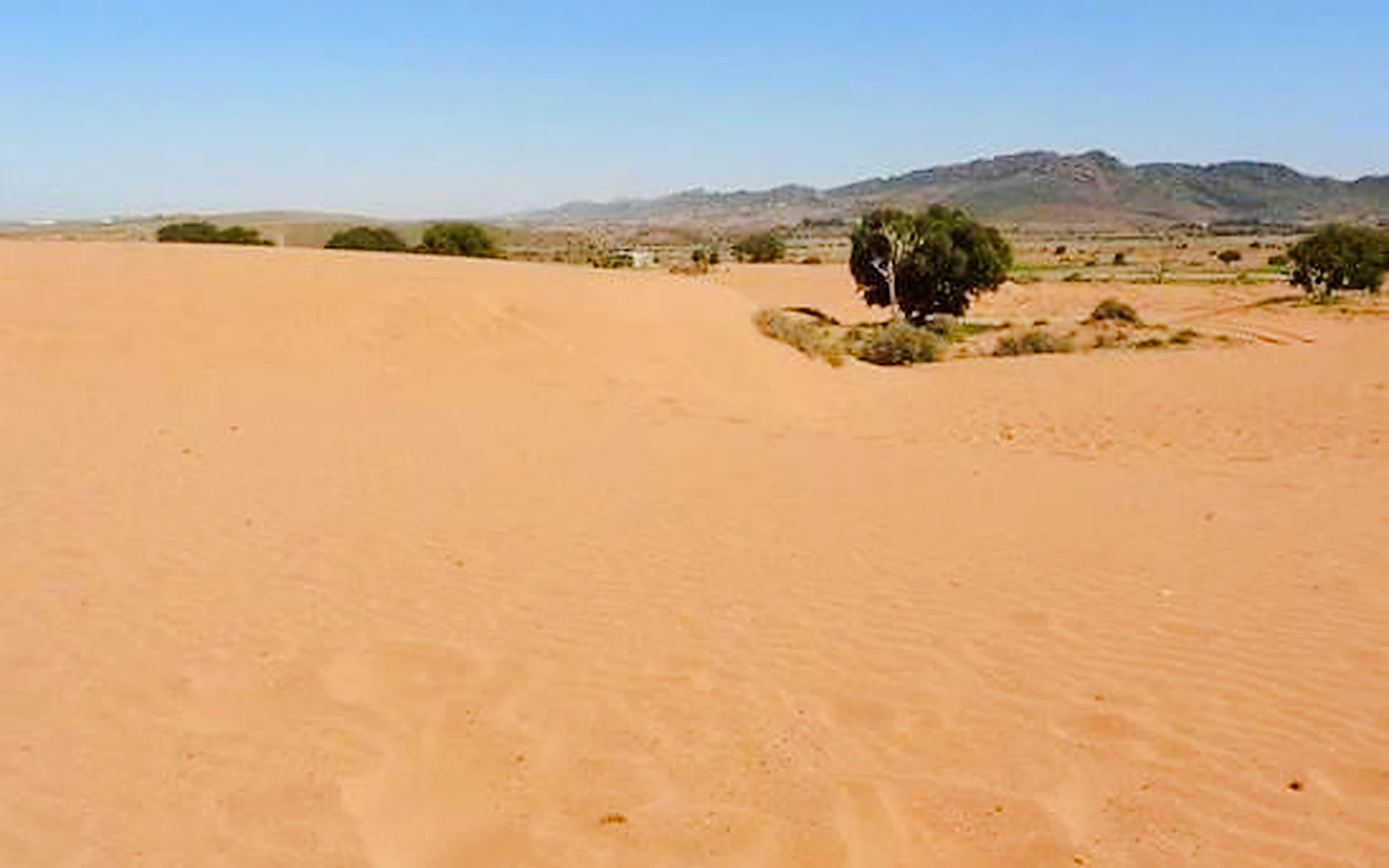 From Agadir: Massa Little Desert and Tiznit Jeep Safari with Lunch