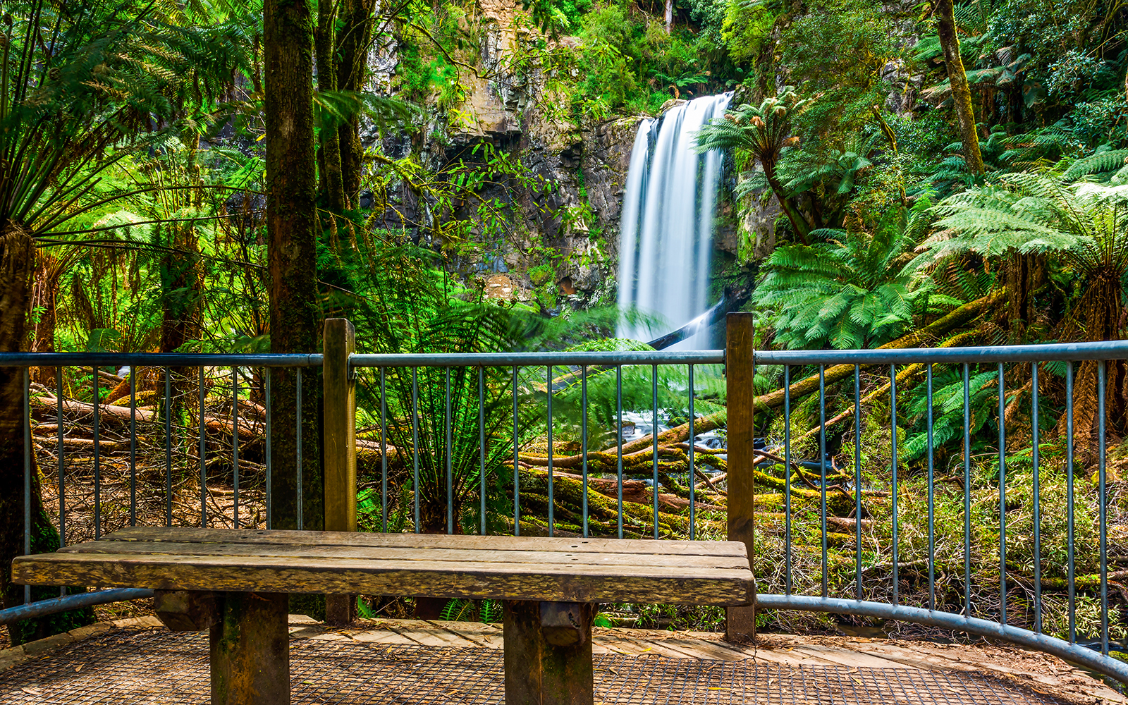 Hopetoun Falls cascading in Great Otway National Park, surrounded by lush greenery.